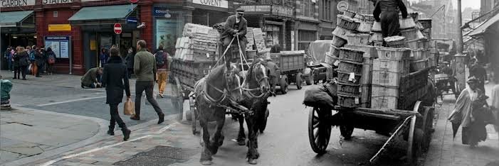 Sherlock Holmes banner