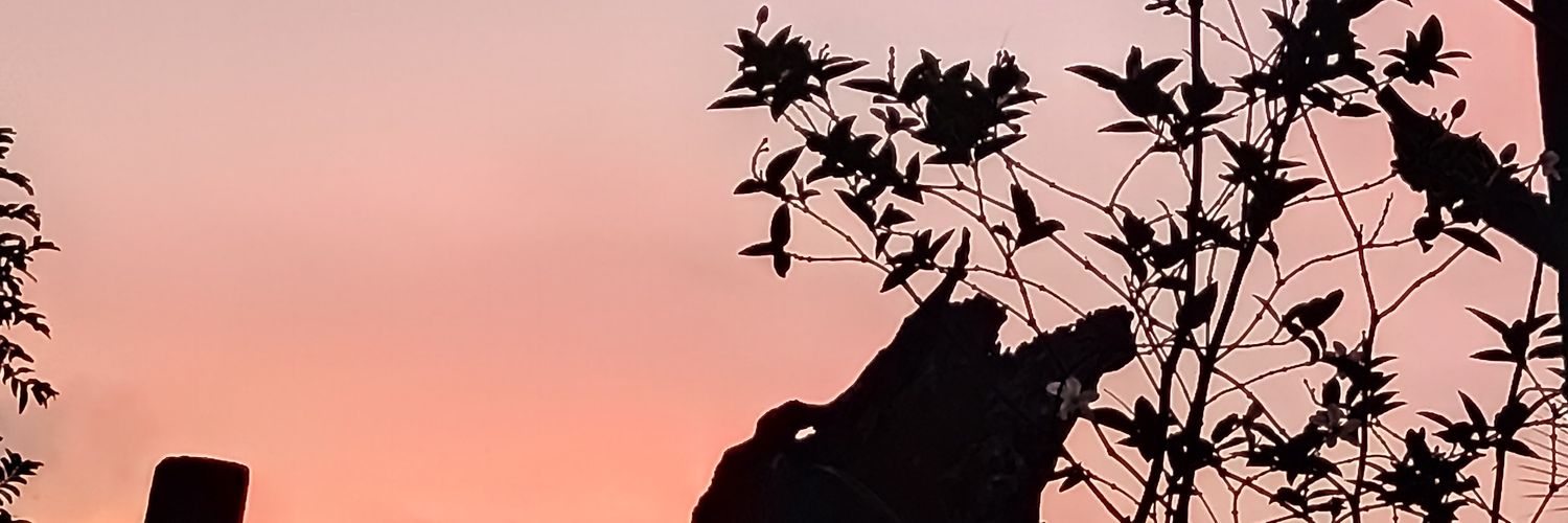 cutecholo17's profile banner image