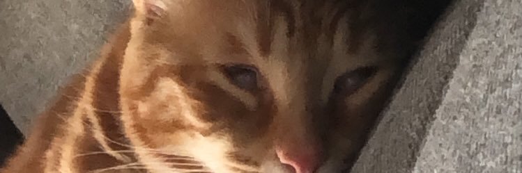 enthusiasmics's profile banner image