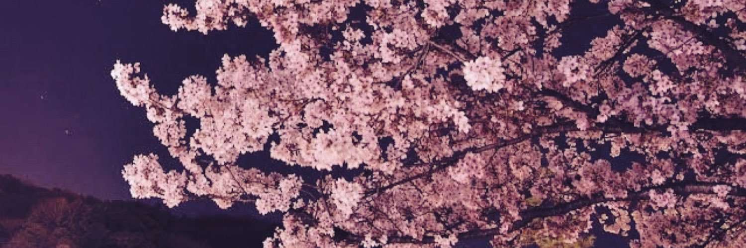 _domichann's profile banner image