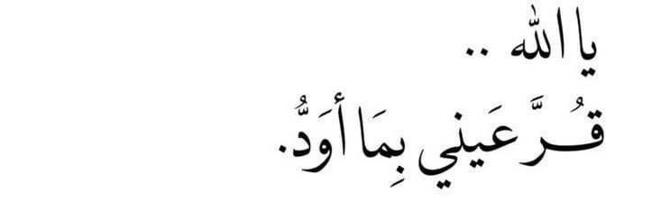 n_almoosa's profile banner image