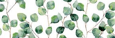 edithmunozr's profile banner image