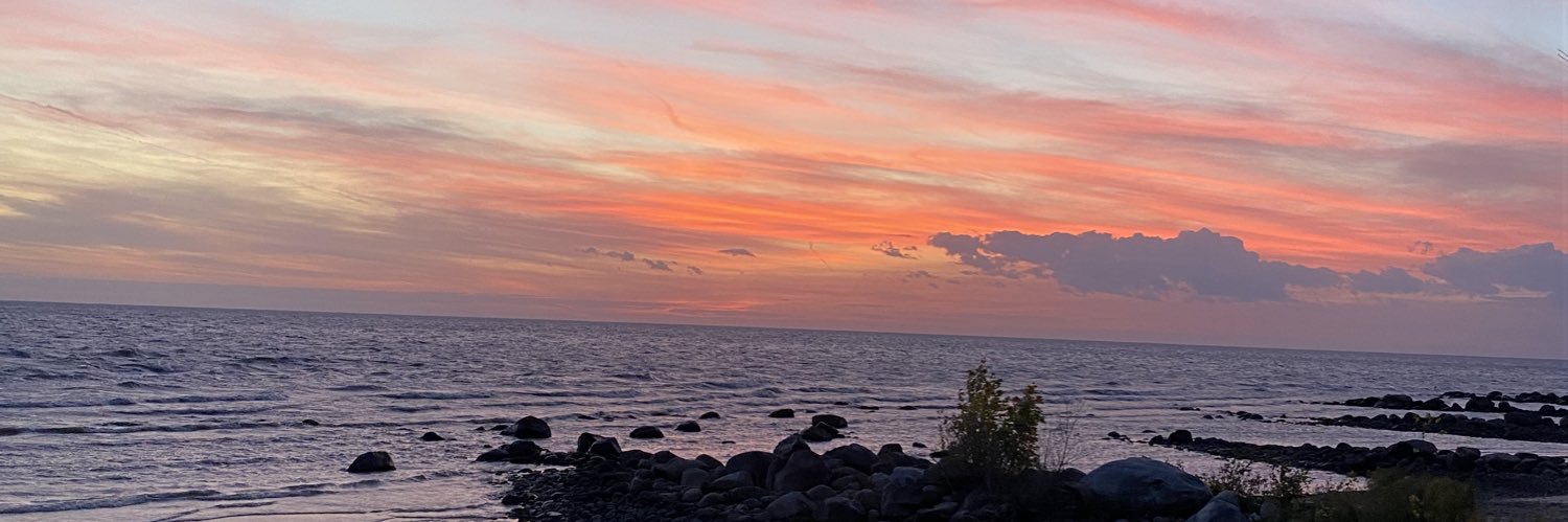 auntysees's profile banner image