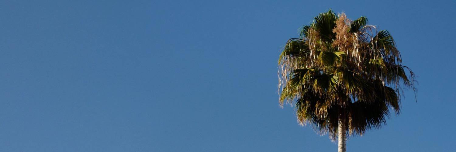 Lydia Winters banner