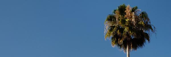 LydiaWinters Profile Banner