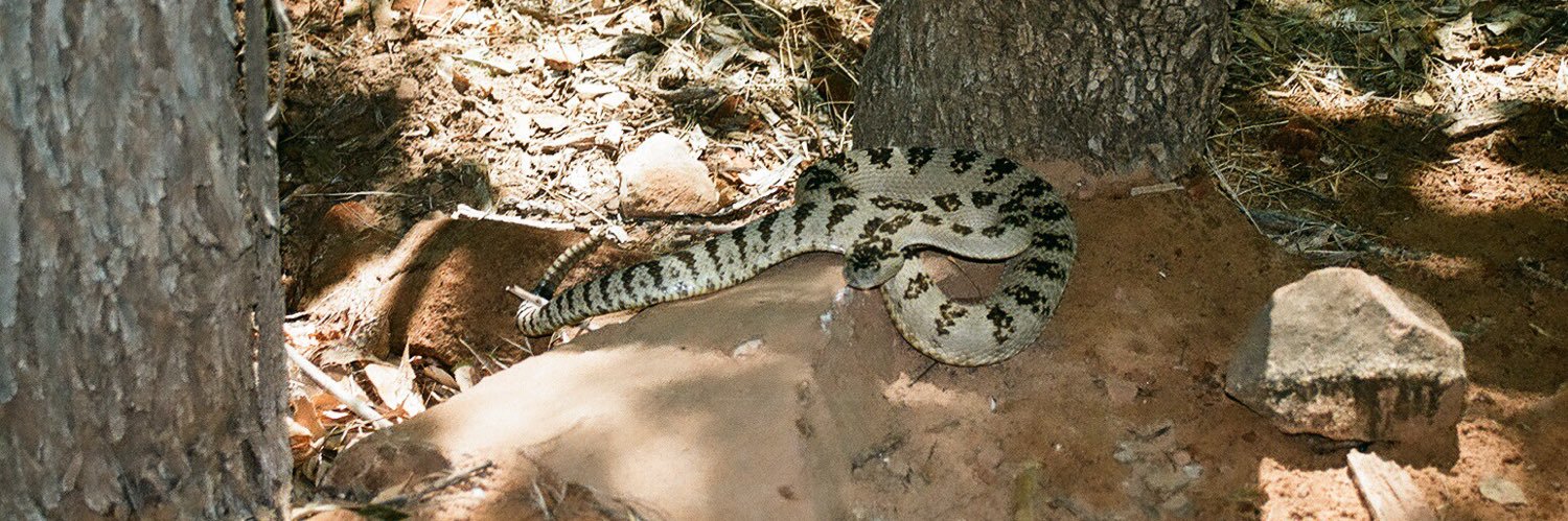 James M. Paul banner