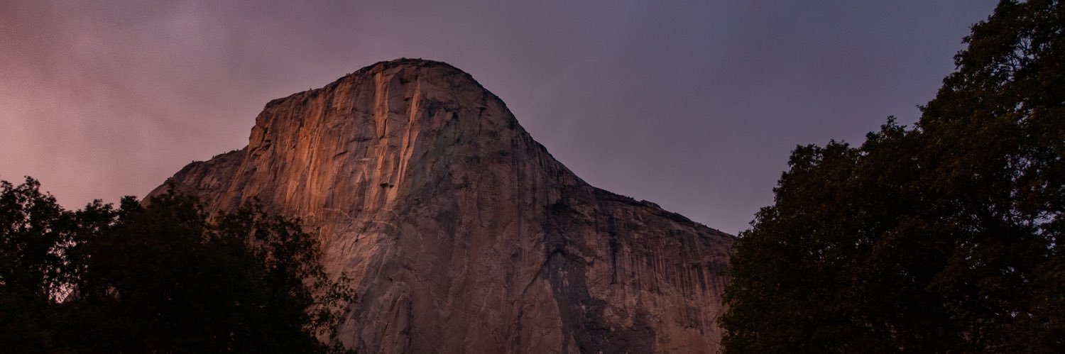 Christina Schmidt banner