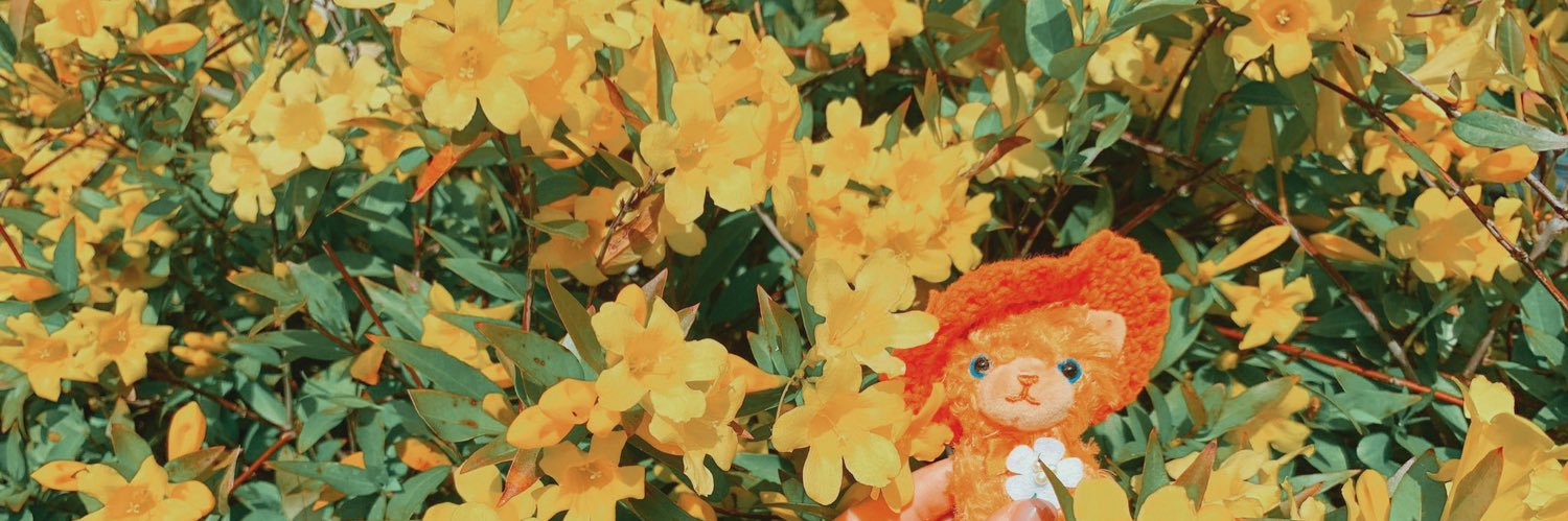 mugi_batake_'s profile banner image