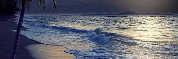 ralph1665 Profile Banner