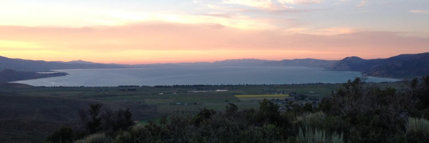 Blake Pugmire banner