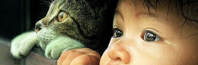 Parados en la Niebla banner