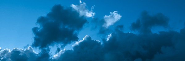 gustfronty797 Profile Banner
