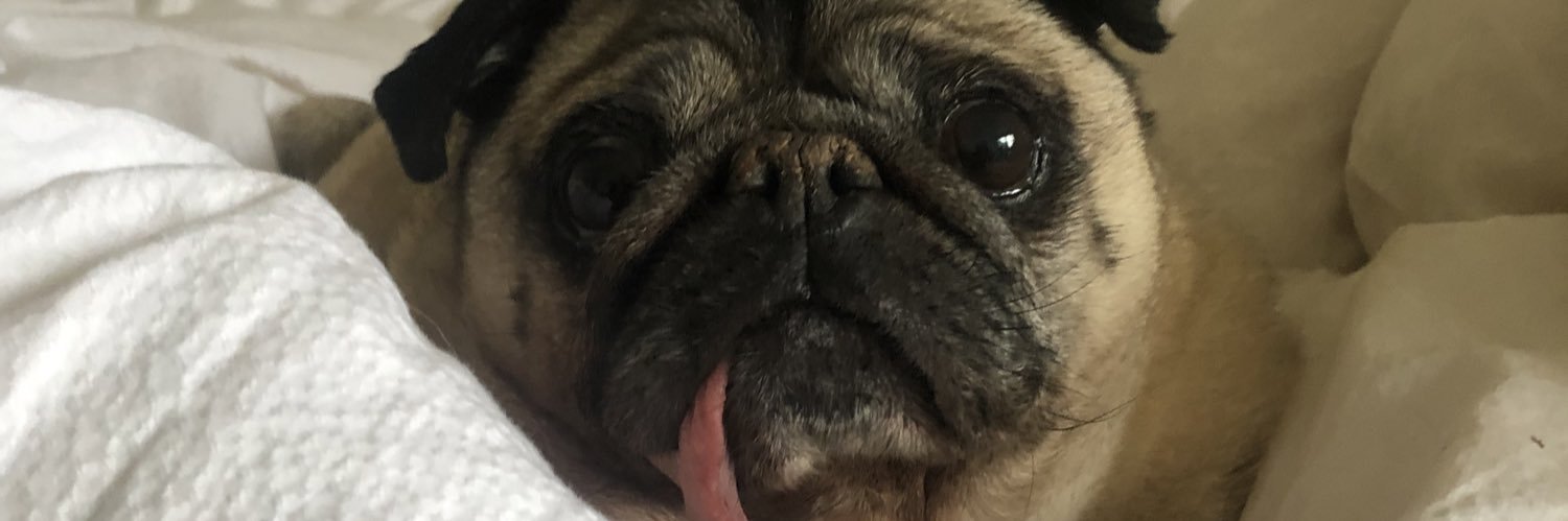 AntoniaWright99's profile banner image