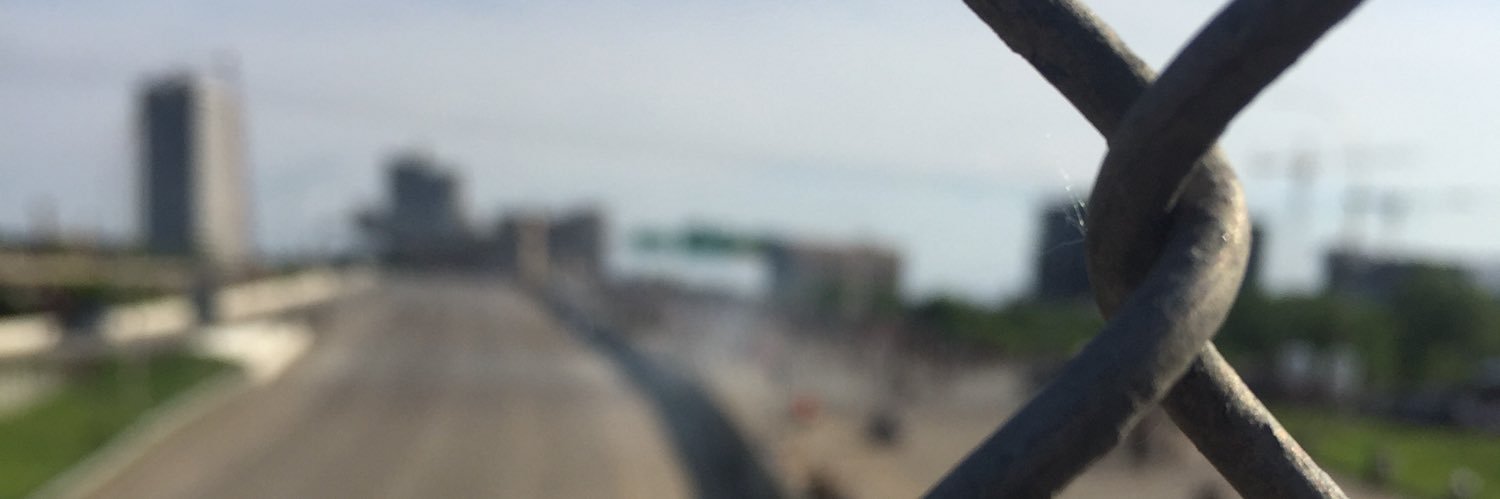 LizmoFox's profile banner image