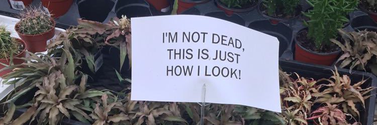 nogravy's profile banner image