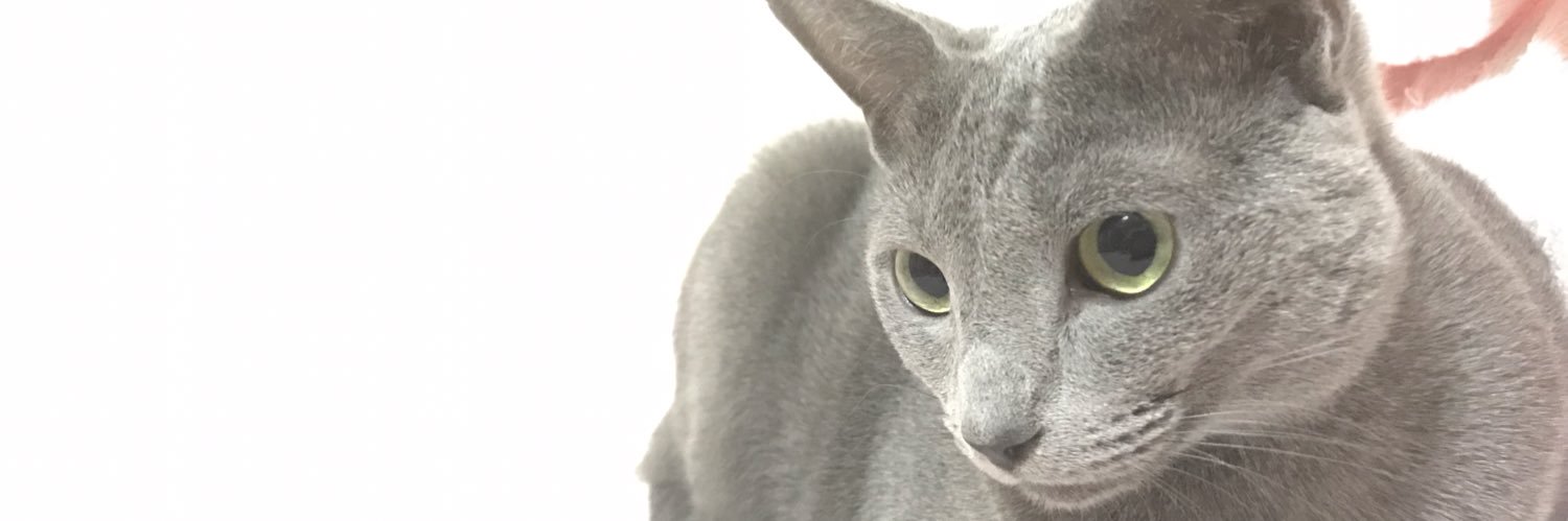 nyanma8's profile banner image