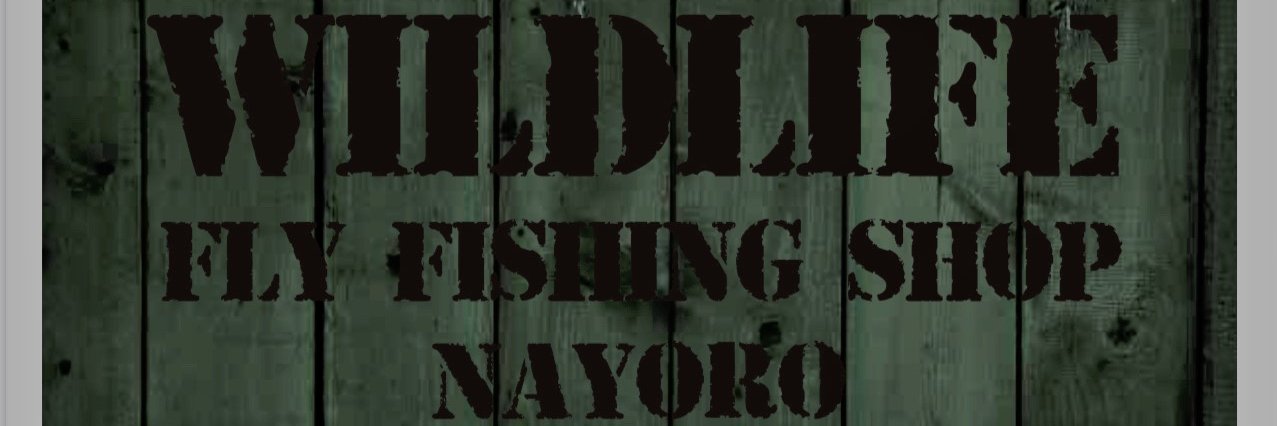 WL2005's profile banner image