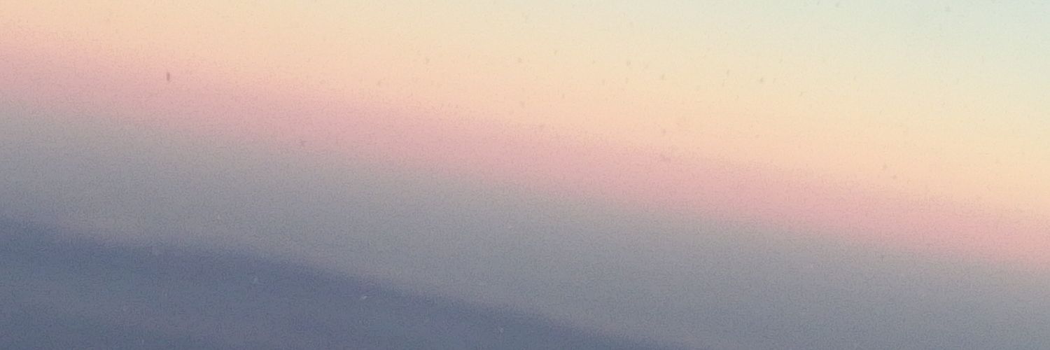 phylliswolfe12's profile banner image
