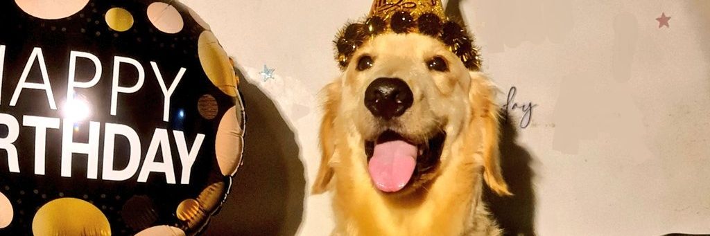 JnaVeemr's profile banner image