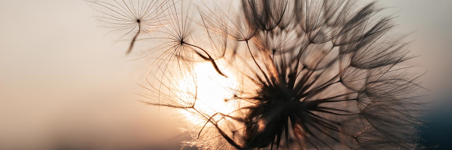 Funeral Notices banner