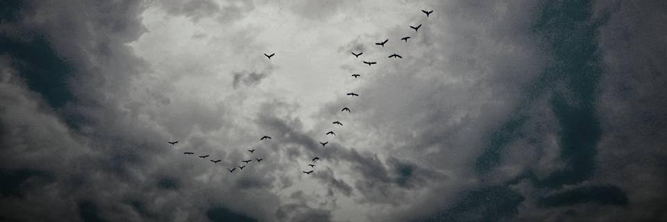 deepbrownesea's profile banner image