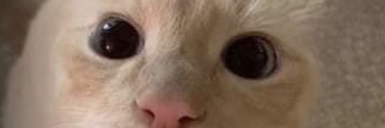 x banner