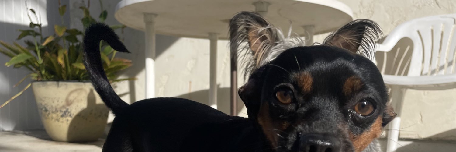 beastBRAH's profile banner image