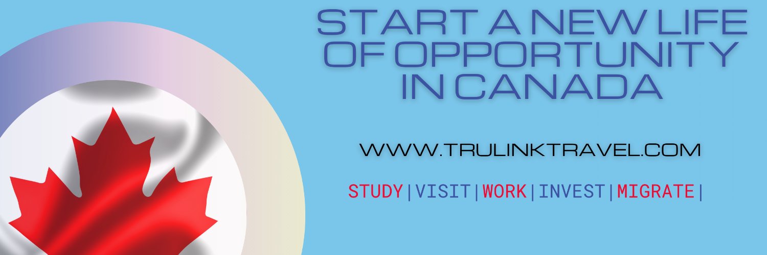 Trulink Immigration Services banner