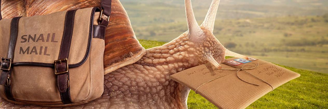 InCoWriMo's profile banner image