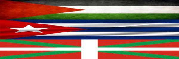 ernestodelaser1 Profile Banner