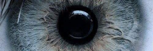 Amrahmed115's profile banner image