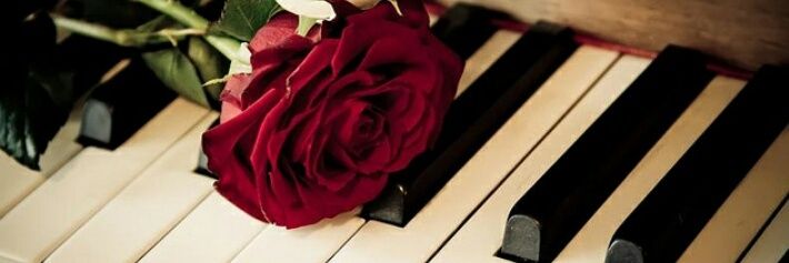 mariahospital97's profile banner image