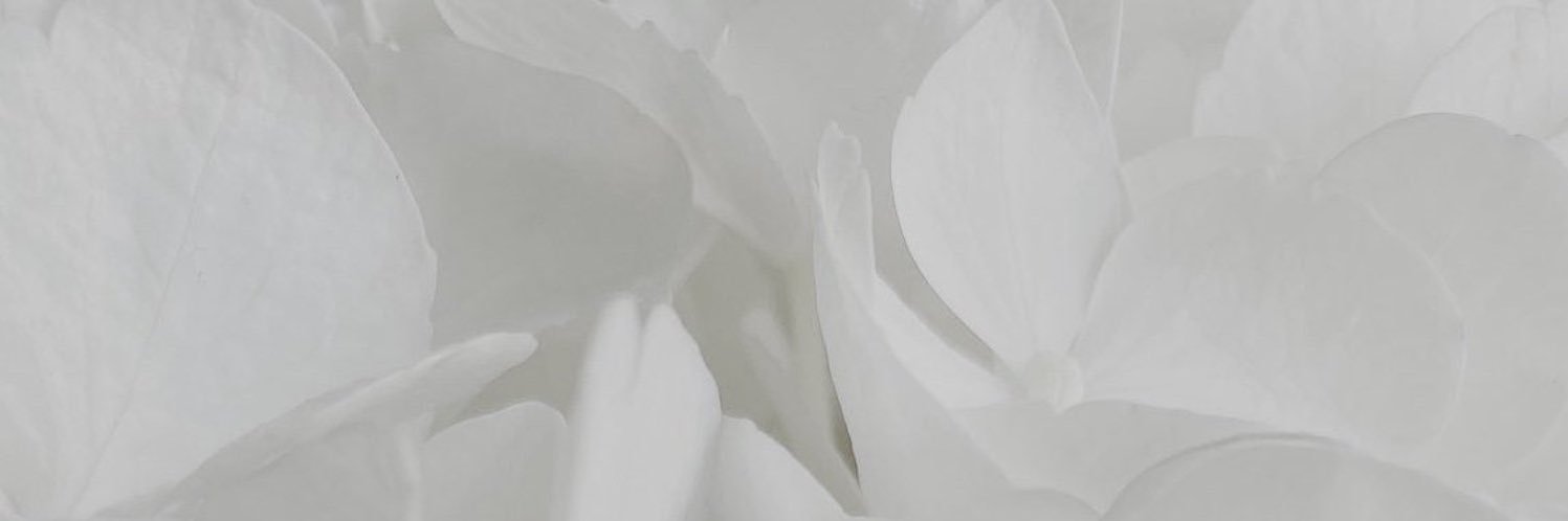 laldaihani_'s profile banner image