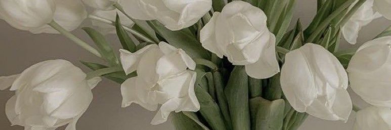 🌷 banner