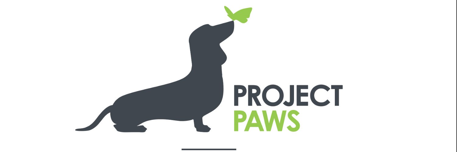 BuckleyProject's profile banner image