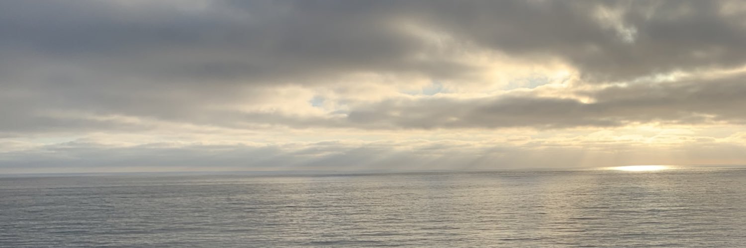 renacohen16's profile banner image