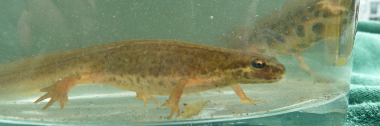 Proffessor Times Up banner