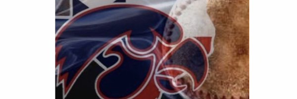 THELAKEatHJ Profile Banner