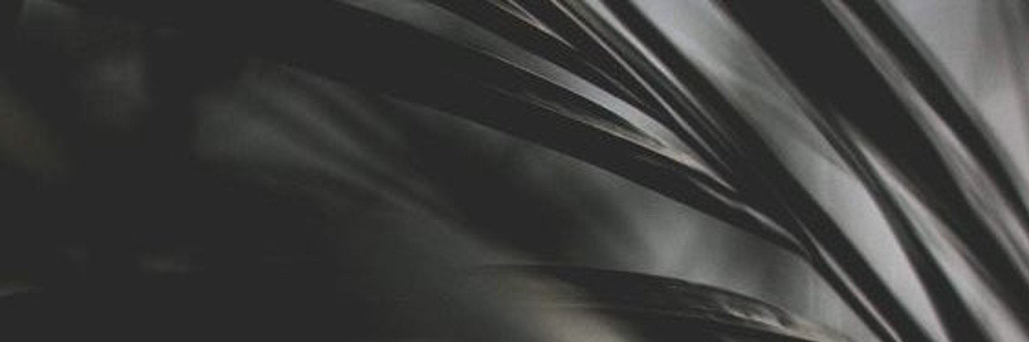 baiader15's profile banner image