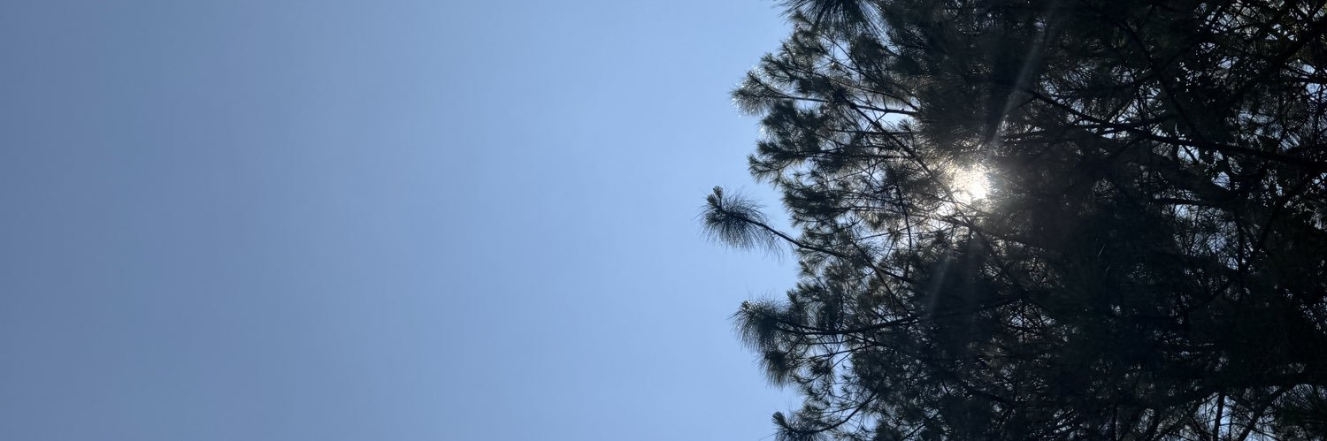 blbleesed's profile banner image