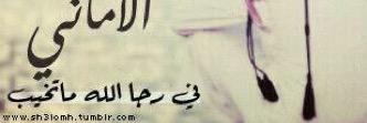 sauud01's profile banner image