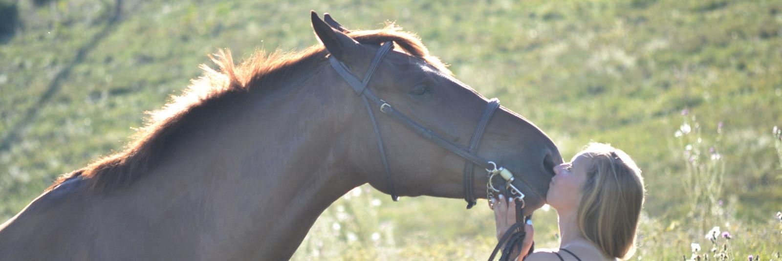 Hahnlaney's profile banner image