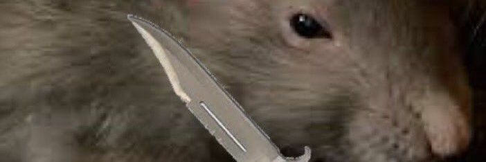Chrsboi's profile banner image
