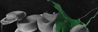 YoSirUpGrin's profile banner image
