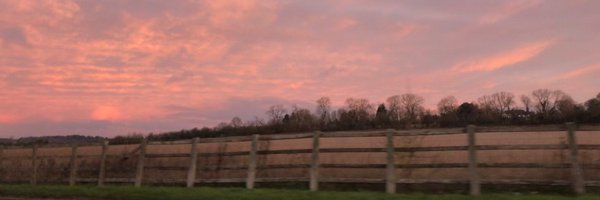 taramelia13 Profile Banner