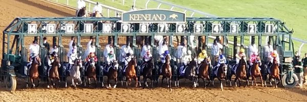 Stepbitt Profile Banner