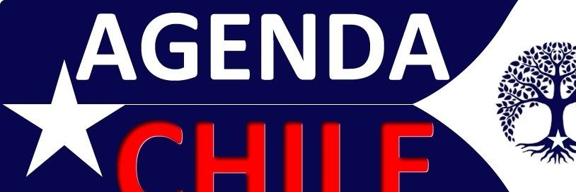 Enrique Subercaseaux banner