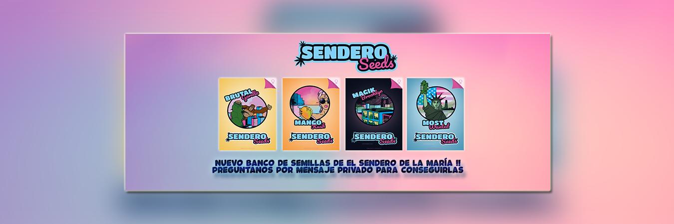 El Sendero De La María banner