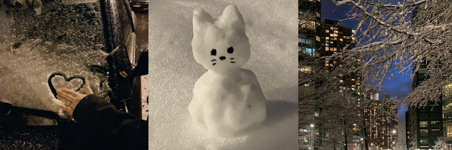 sweettjms's profile banner image