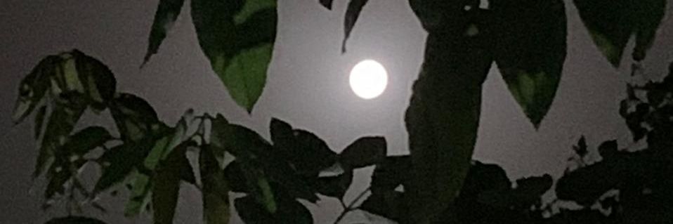chuphojaaa's profile banner image